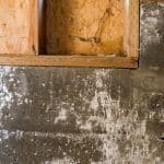 Thumbnail image of White efflorescence and moisture staining on a concrete foundation wall, indicating water intrusion through the masonry and highlighting the need for professional waterproofing and moisture control solutions.