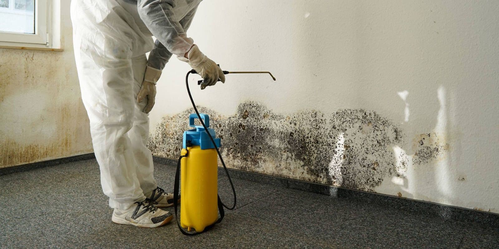 Worker in protective coveralls sprays a mold-stained wall with a yellow pump sprayer, highlighting mold remediation and home cleaning.